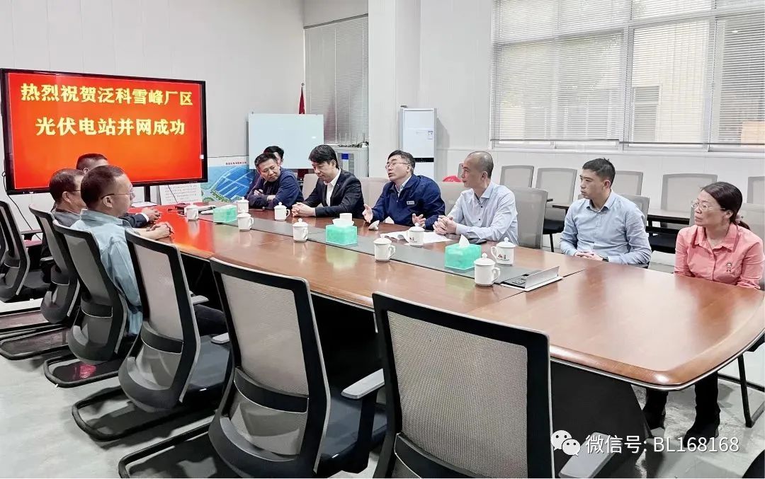 2023 March FK news: Congratulations on the successful grid connection of the photovoltaic power station in Xuefeng Factory of FK Bearing Group